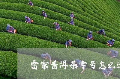 雷家普洱茶字号怎么选/2023083140363