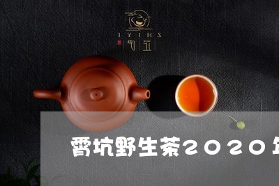 霄坑野生茶2020年/2023071678159