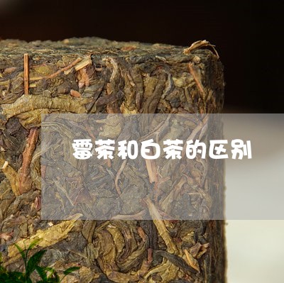 霉茶和白茶的区别/2023071186258