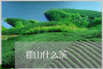 霍山什么茶/2023121962795