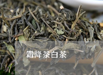 霜降茶白茶/2023051133948