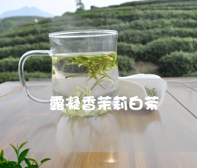 露凝香茉莉白茶/2023061195042