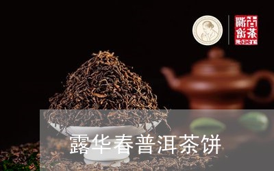 露华春普洱茶饼/2023101630471