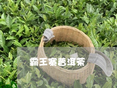 霸王寨普洱茶/2023042720222