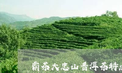 霸茶大忠山普洱茶特点/2023073103847