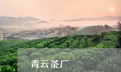 青云茶厂/2023110974948