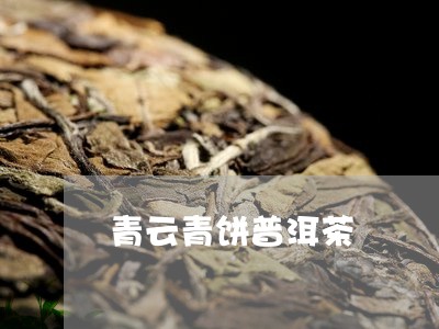 青云青饼普洱茶/2023101686169