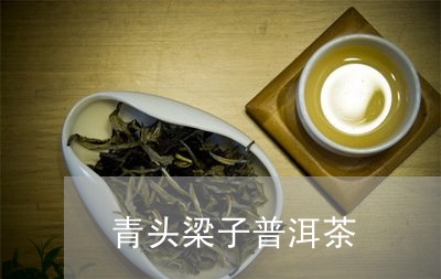 青头梁子普洱茶/2023102632148