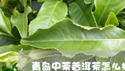 青岛中茶普洱茶怎么样啊/2023120786350