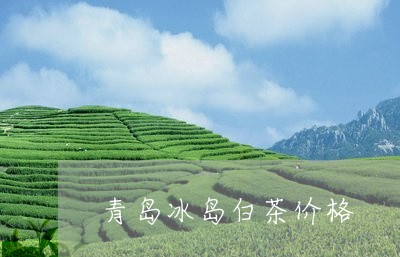 青岛冰岛白茶价格/2023071151837