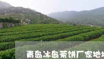 青岛冰岛茶饼厂家地址/2023061250492