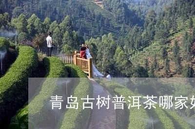 青岛古树普洱茶哪家好/2023083162716