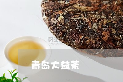 青岛大益茶/2023041783585