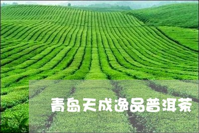 青岛天成逸品普洱茶/2023083121683