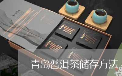 青岛普洱茶储存方法/2023121867486