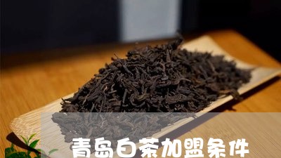 青岛白茶加盟条件/2023071115049