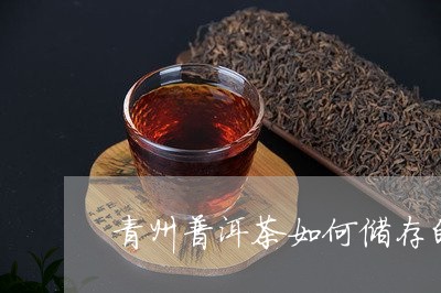 青州普洱茶如何储存的最久/2023121818592