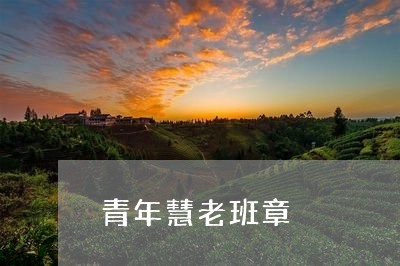 青年慧老班章/2023090784817