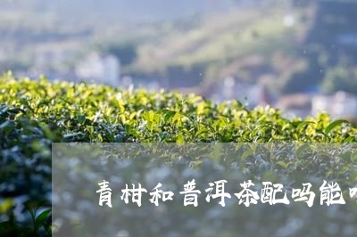 青柑和普洱茶配吗能喝吗/2023082505927