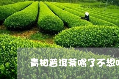 青柑普洱茶喝了不想吃饭/2023081650372