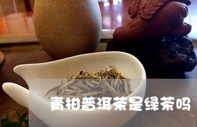 青柑普洱茶是绿茶吗/2023120573824