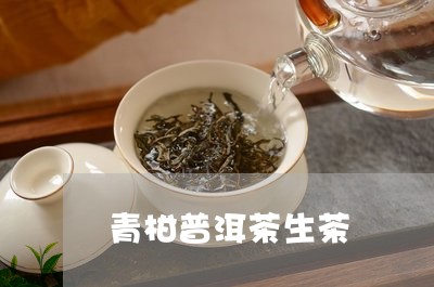 青柑普洱茶生茶/2023101608269