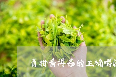 青柑普洱茶的正确喝法/2023092865137