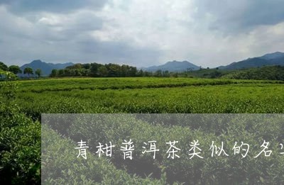 青柑普洱茶类似的名字/2023081650503