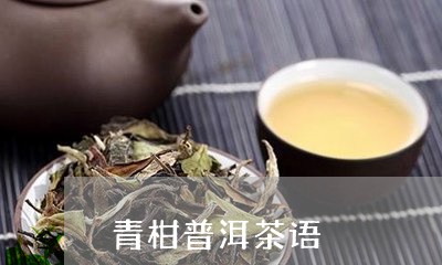 青柑普洱茶语/2023042962750