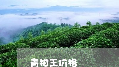 青柑王价格/2023122090403