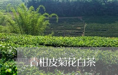 青柑皮菊花白茶/2023061172605