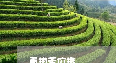 青柑茶价格/2023090235281