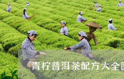 青柠普洱茶配方大全图片/2023110106080