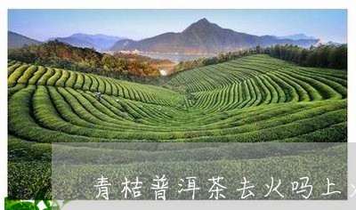 青桔普洱茶去火吗上火吗/2023110847362