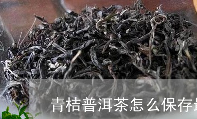 青桔普洱茶怎么保存最好/2023121845237