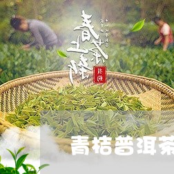 青桔普洱茶能降血压吗百度百科/2023083124251