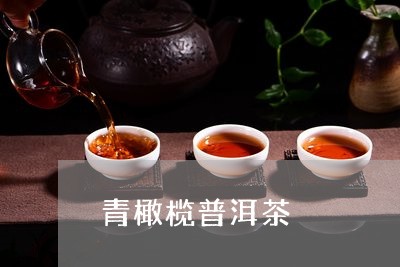 青橄榄普洱茶/2023091387151