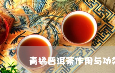 青橘普洱茶作用与功效/2023121862503