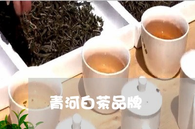 青河白茶品牌/2023052573038