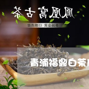 青浦福鼎白茶店在哪里啊/2023092274158