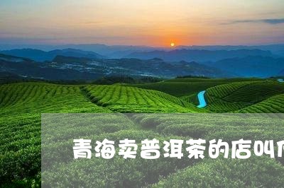 青海卖普洱茶的店叫什么/2023050414061