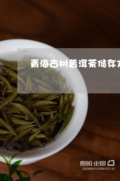 青海古树普洱茶储存方法/2023121820491