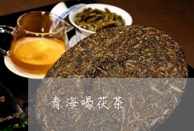 青海喝茯茶/2023121985150