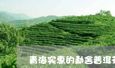 青海实惠的勐舍普洱茶/2023093072706