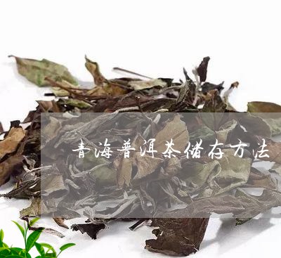 青海普洱茶储存方法/2023121826172