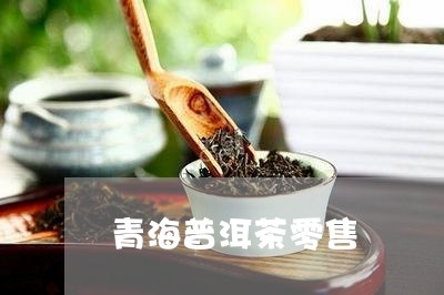 青海普洱茶零售/2023121838170