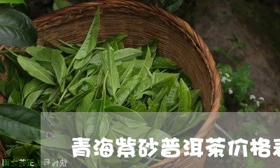 青海紫砂普洱茶价格表/2023120615039