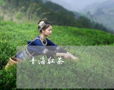 青海红茶/2023121932158