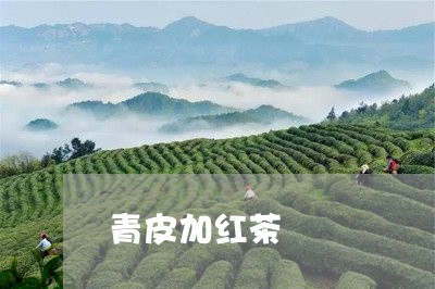 青皮加红茶/2023090275027