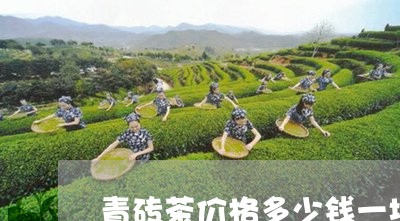 青砖茶价格多少钱一块/2023071571037